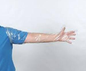 Insemination gloves for husbandry