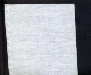 Dairy Master filter sock