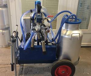 Cow  two units machine