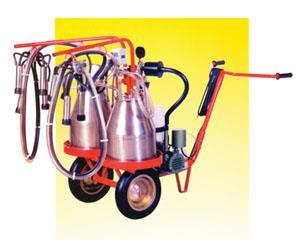 Cow  two units machine